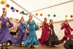 Feria2433