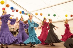 Feria2434