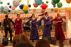 IMG_7294